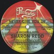 画像1: Sharon Redd‎ - In The Name Of Love/Never Give You Up  12"