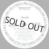 画像: Waldo - You Bring Out The Freak In Me  12"