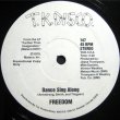 画像1: Freedom - Dance Sing Along/Set You Free  12"