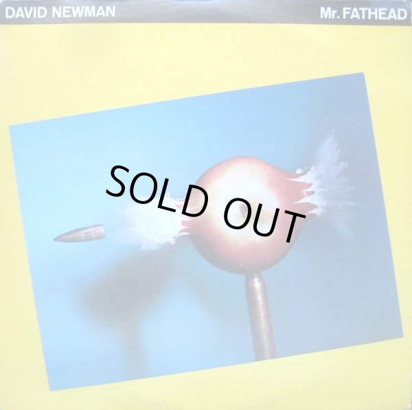 画像1: David Newman - Mr. Fathead  LP