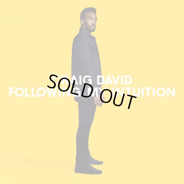 画像1: Craig David - Following My Intuition  2LP + CD