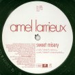 画像2: Amel Larrieux - Sweet Misery Remixes (Doubled！)  12"X2