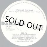 画像: AM-FM  -  You Are The One  12"