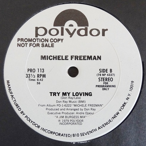 画像2: Michele Freeman - Nice And Slow/Try My Loving  12" 