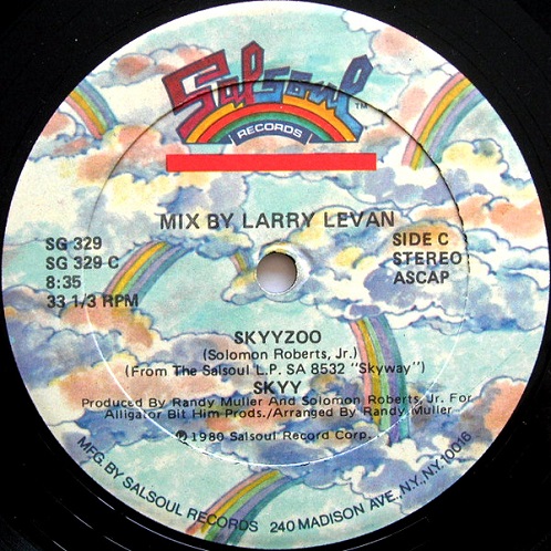 画像1: Skyy - Skyyzoo/High  12"